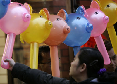 ,chinese lunar new year,year of the pig,