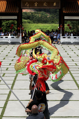 ,chinese lunar new year,year of the pig,