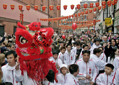 ,chinese lunar new year,year of the pig,