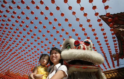 ,chinese lunar new year,year of the pig,