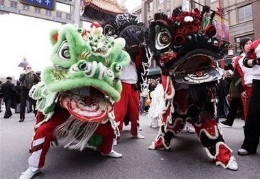 ,chinese lunar new year,year of the pig,