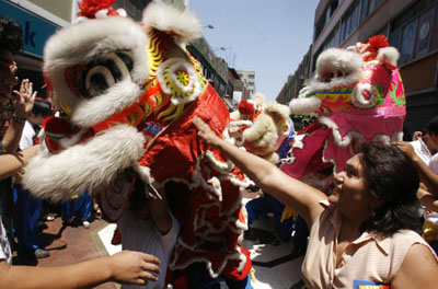 ,chinese lunar new year,year of the pig,