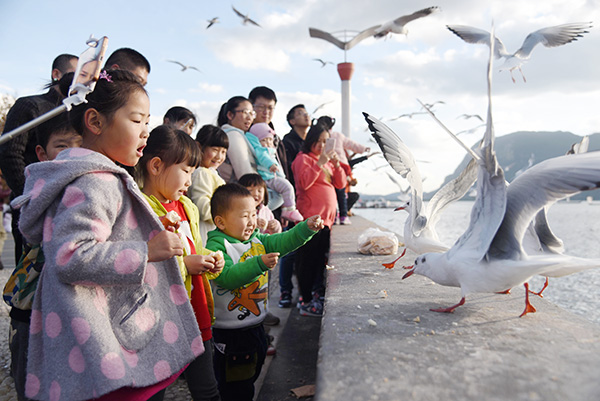 SOEs blamed for Yunnan tourism woes