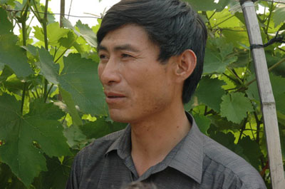 Zhang Xiaohu Vineyard in Zhenjiang