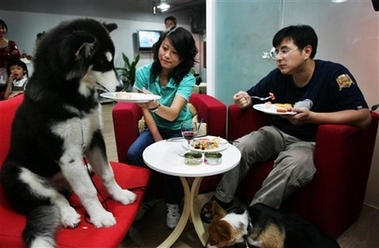 A pet restaurant in Hangzhou