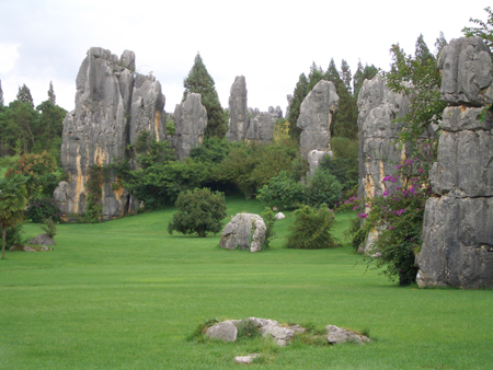 Stone Forest