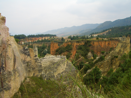 Colorful Sand Forest attracting tourists and artists
