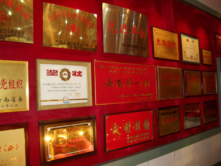 Dayingjie:The First Village in Yunnan