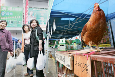 Hen with a record price