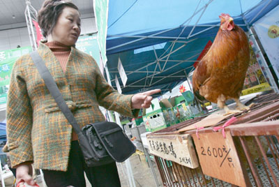 Hen with a record price