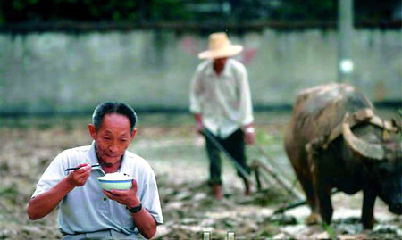 'Father of hybrid rice should be Nobel Prize nominee'