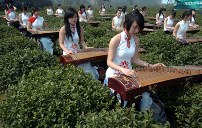 Tea festival in Hangzhou