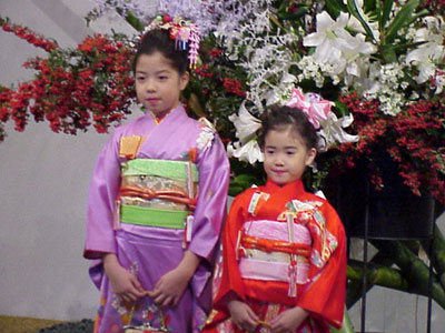 Appealing Kimono