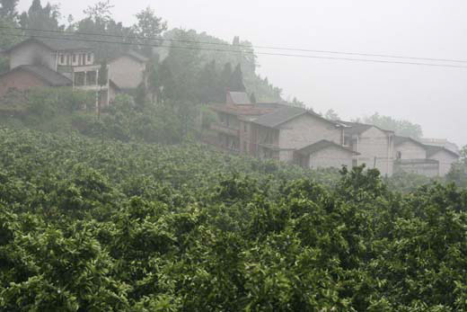 Three Gorges migrants benefit from changes