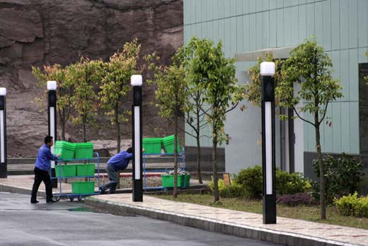 Ruyi Group