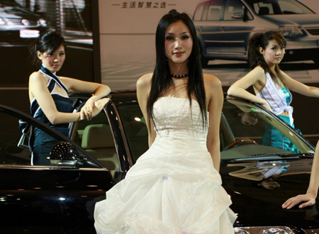 Car model craze in China