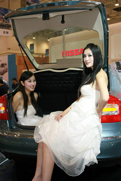 Car model craze in China