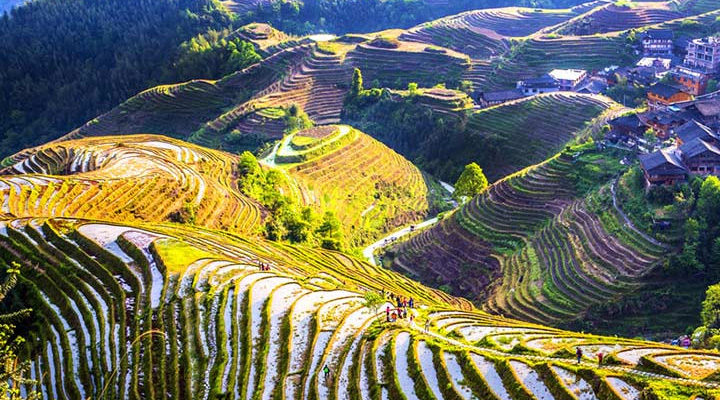 New season, new look: Changing landscape of China - Chinadaily.com.cn