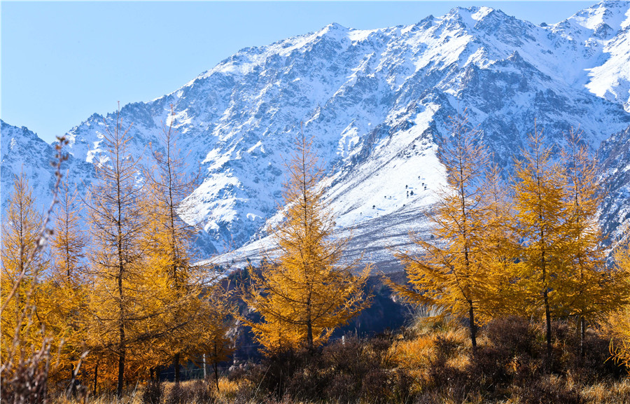 2% of land to be used to protect wildlife, pristine areas