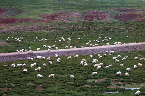 Qinghai-Tibet Railway