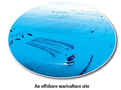 Archipelago 'opens up' to tourism and marine future