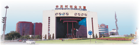 E-platform proves crucial in IT firms' bid to go global