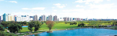 E-platform proves crucial in IT firms' bid to go global