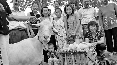 Census focuses on foreigners