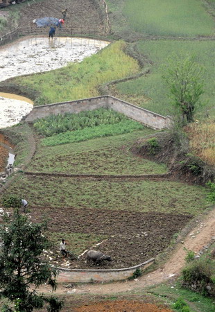 Rainfall quenches thirsty land in SW China