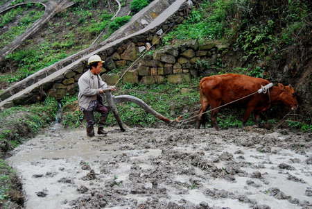 Rainfall quenches thirsty land in SW China