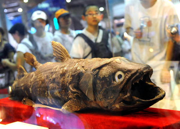 Creature from ancient times displayed at Comoros stand