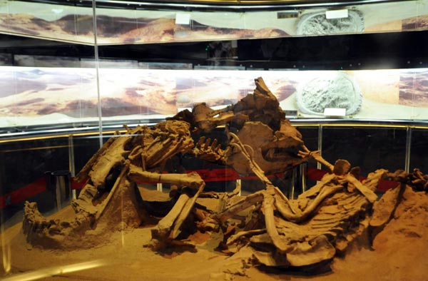 Eyes on the Mongolia Pavilion at Expo