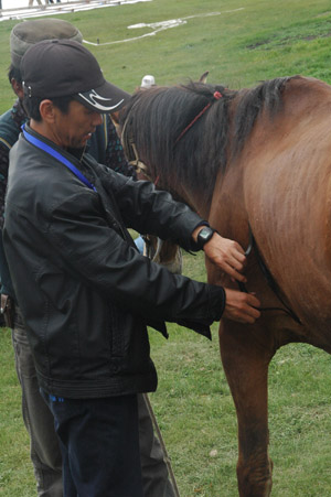 Playing horse whisperer