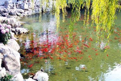 West Lake in Hangzhou