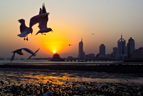 Sailing City - Qingdao