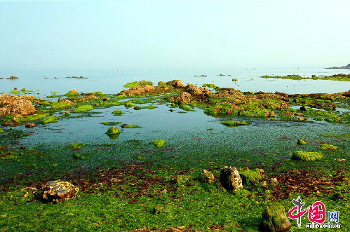 Amazing Golden Pebble Beach in China's Dalian