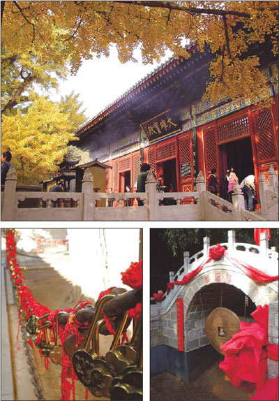 A haven discovered in Hongluo Temple