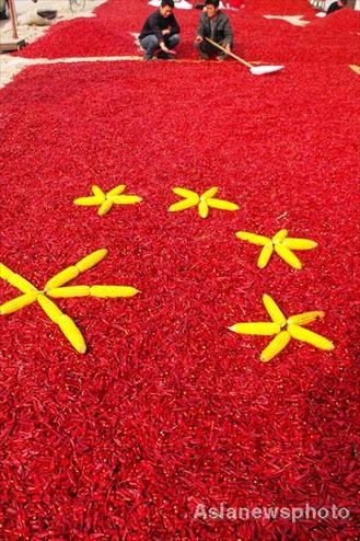 Flags for National Day