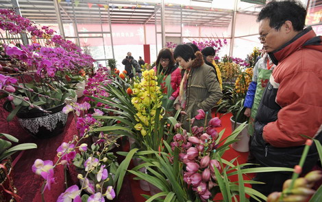 Chinese New Year Traditions