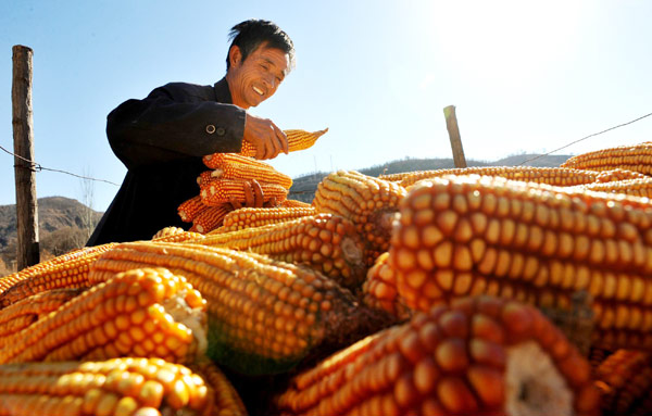 Small village harvests enormous change