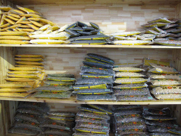 Expo is a galaxy of typical products