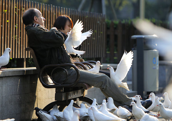 Avian flu quiets song in bird market