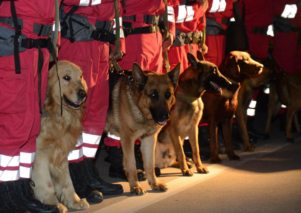 China International Search & Rescue Team sets out for relief work