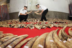 Buying ivory is buying bullets: Yao Ming