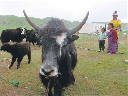 Nomads embrace changes brought by education
