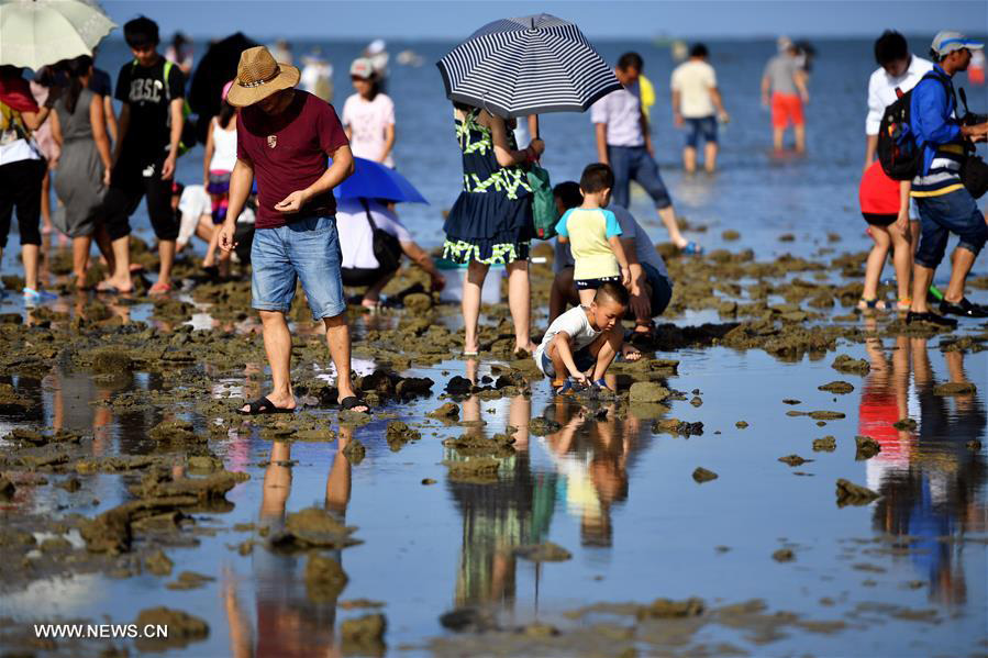 Marine products collecting festival kicks off in S China's Hainan