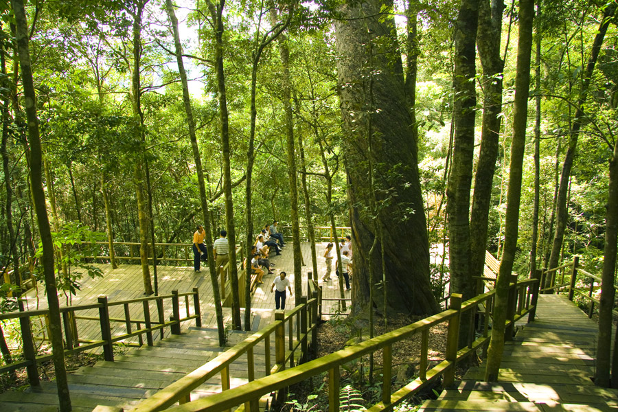 Bawangling National Nature Reserve in Hainan