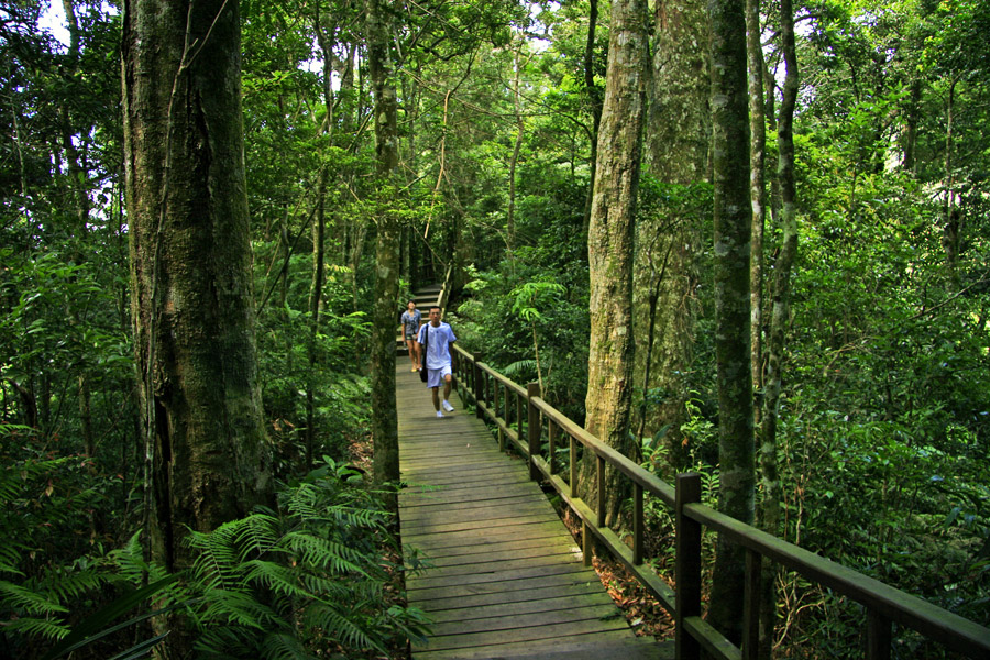 Bawangling National Nature Reserve in Hainan