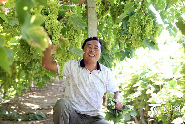 Turpan's 'grape broker' sets the standard others aspire to