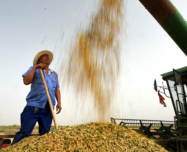 The local hero who built Xinjiang